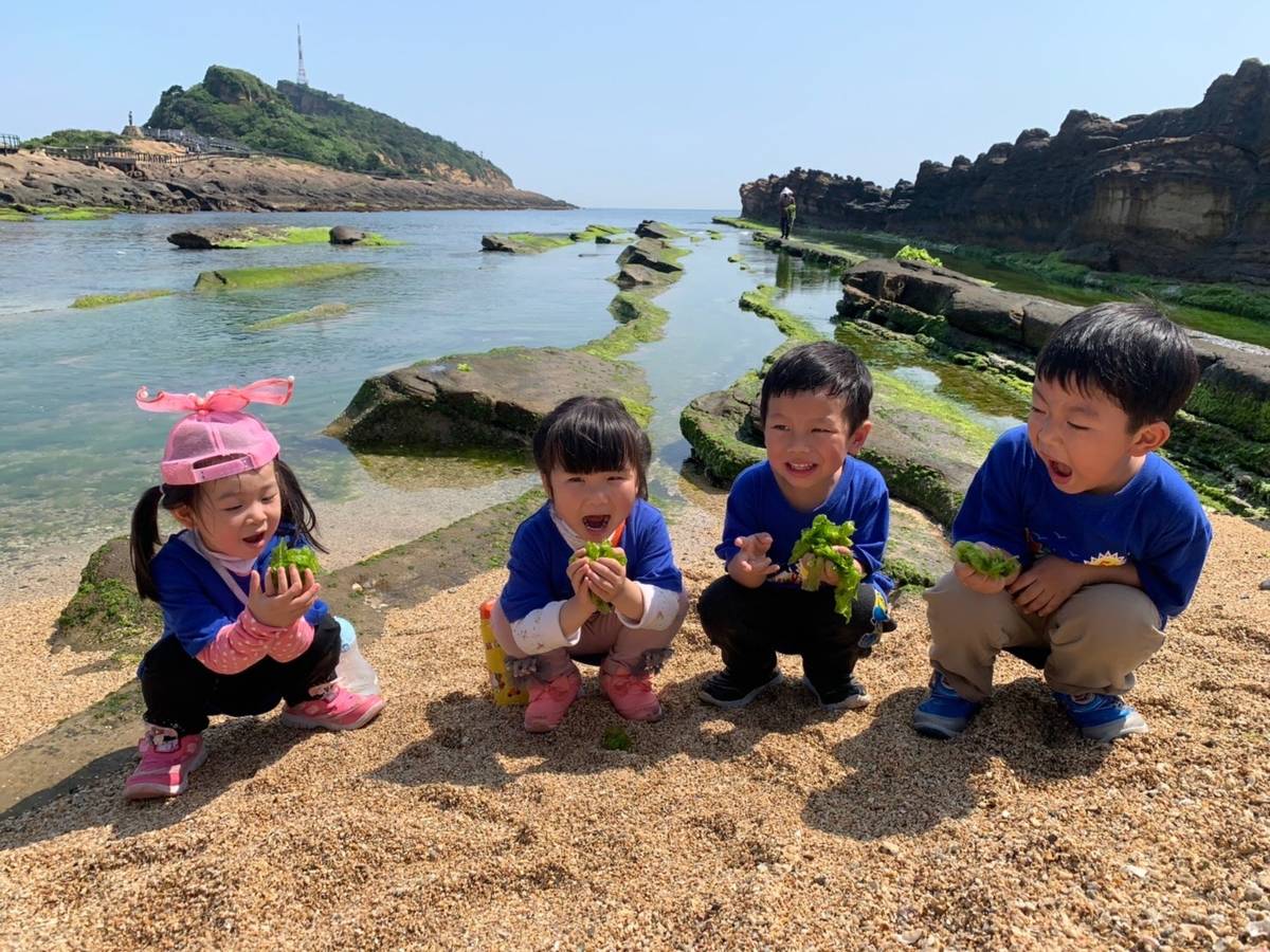 幼兒海岸探索聞聞石蓴的味道