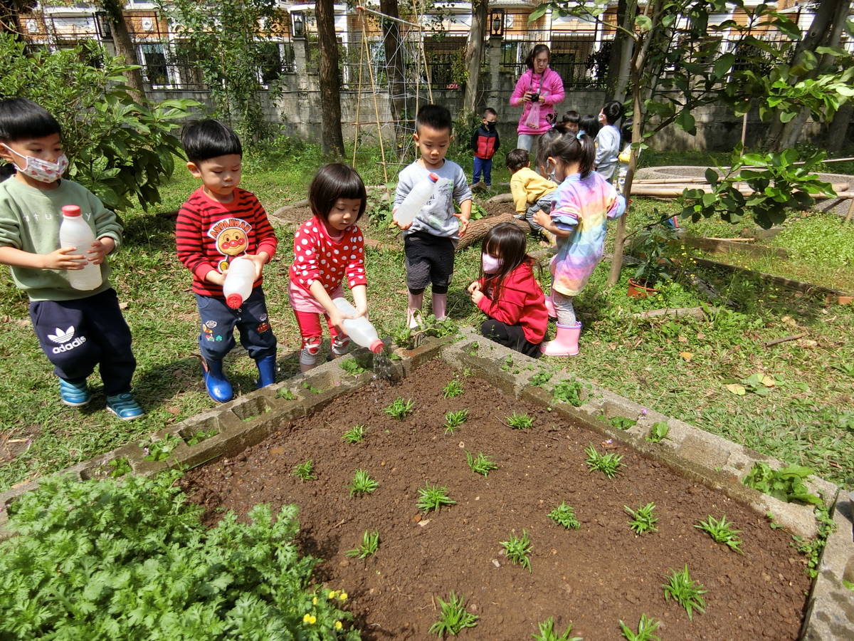龍埔成長非營利幼兒園種蔥及空心菜.JPG