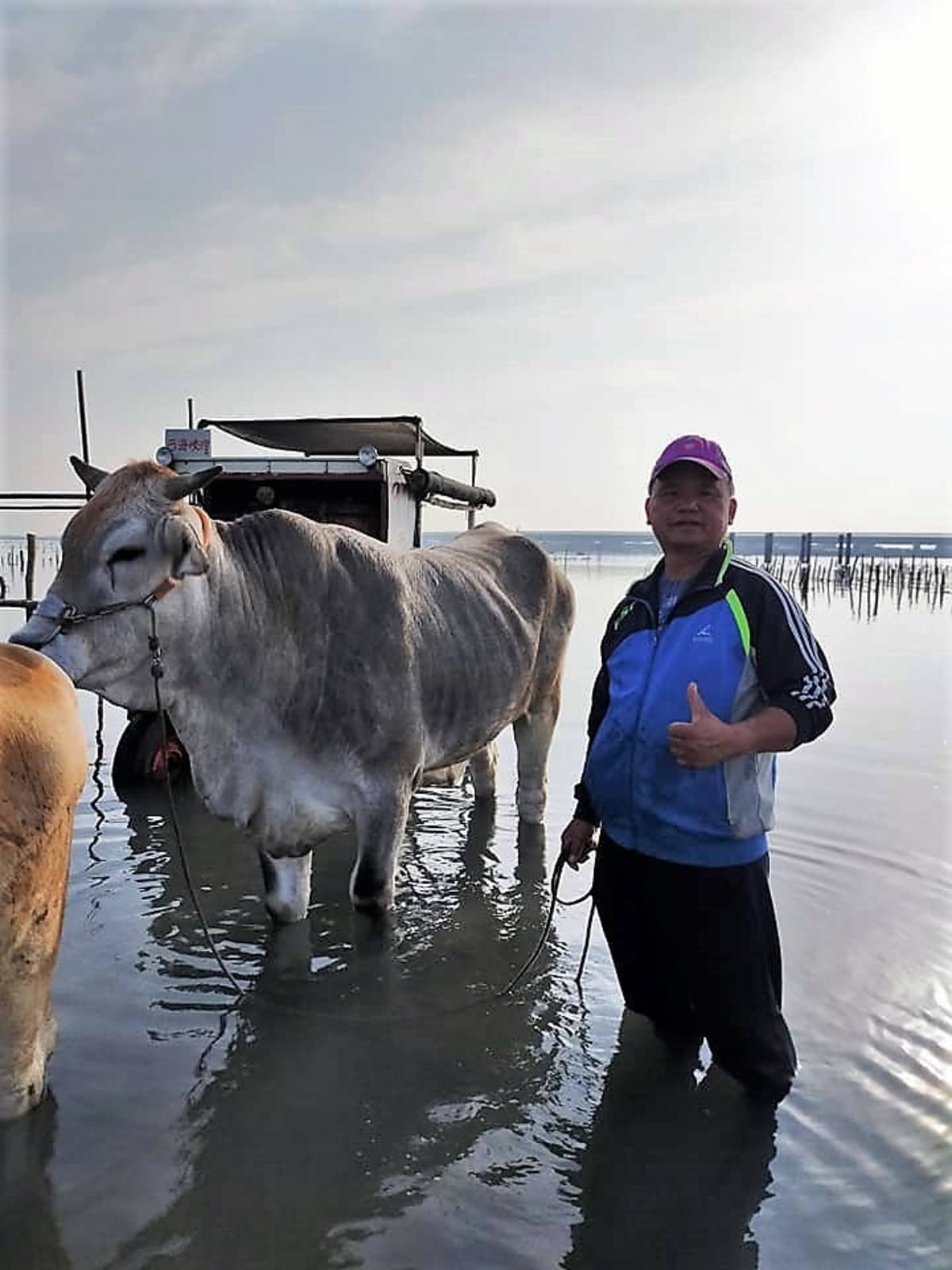 魏清水致力保存台灣唯一的海牛文化
