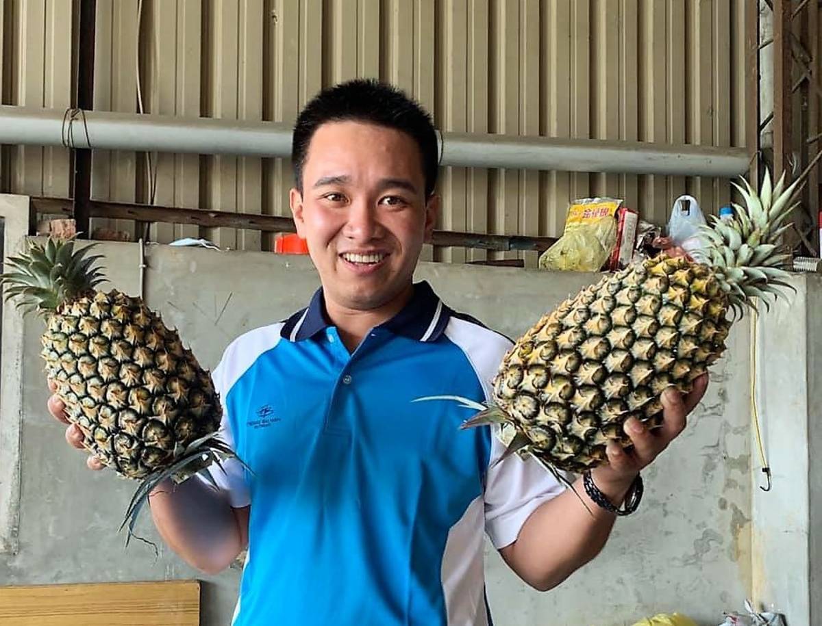 「鳳梨王子」林子瓏接手家中鳳梨田六年堅持種出高品質金鑽鳳梨自產自銷