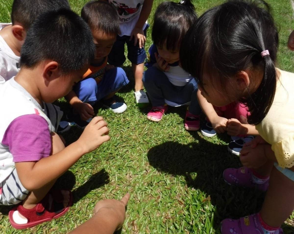 濱江非營利幼兒園戶外觀察.jpg