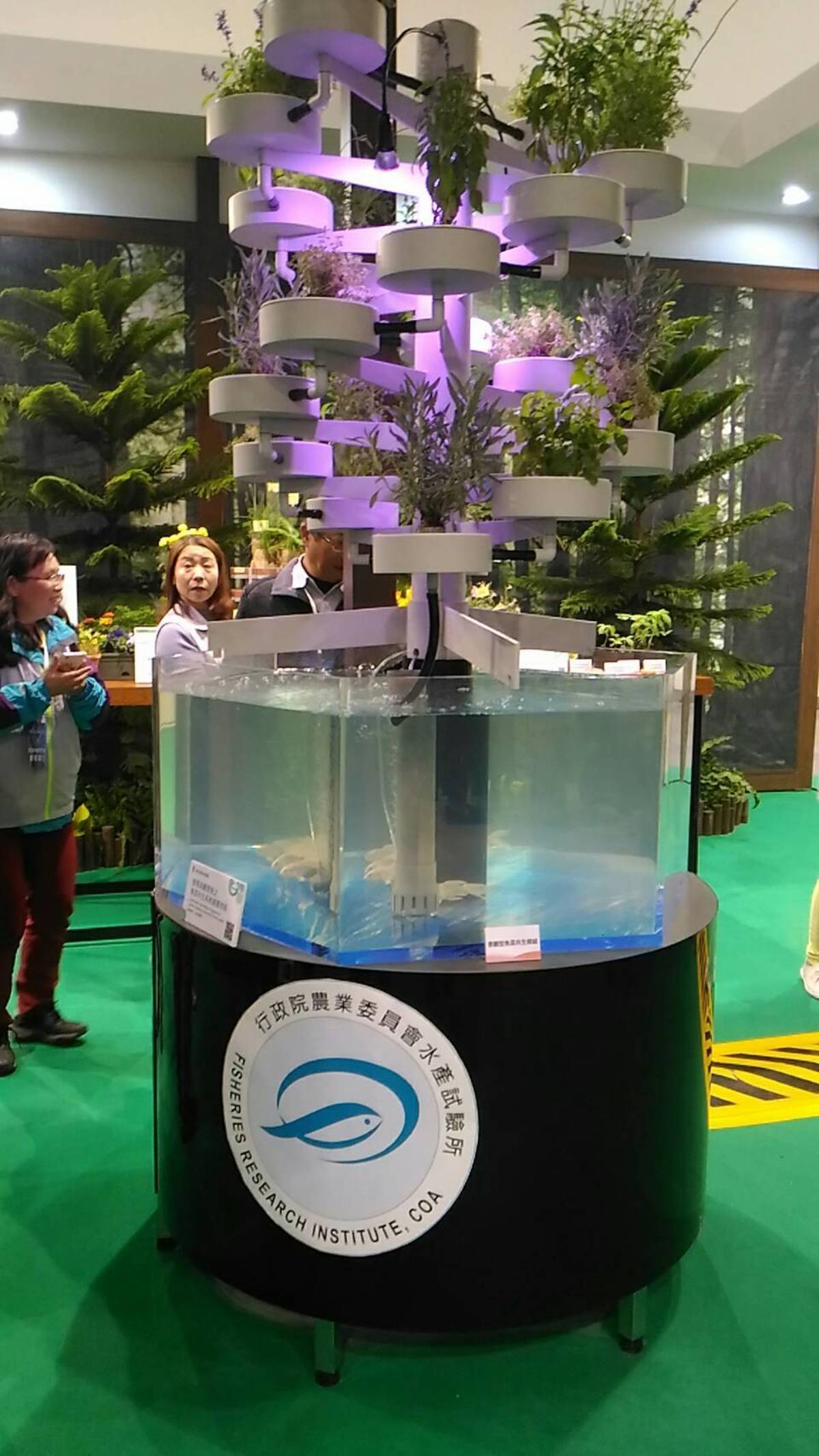 療癒舒壓型的香草魚菜系統。(農委會提供)