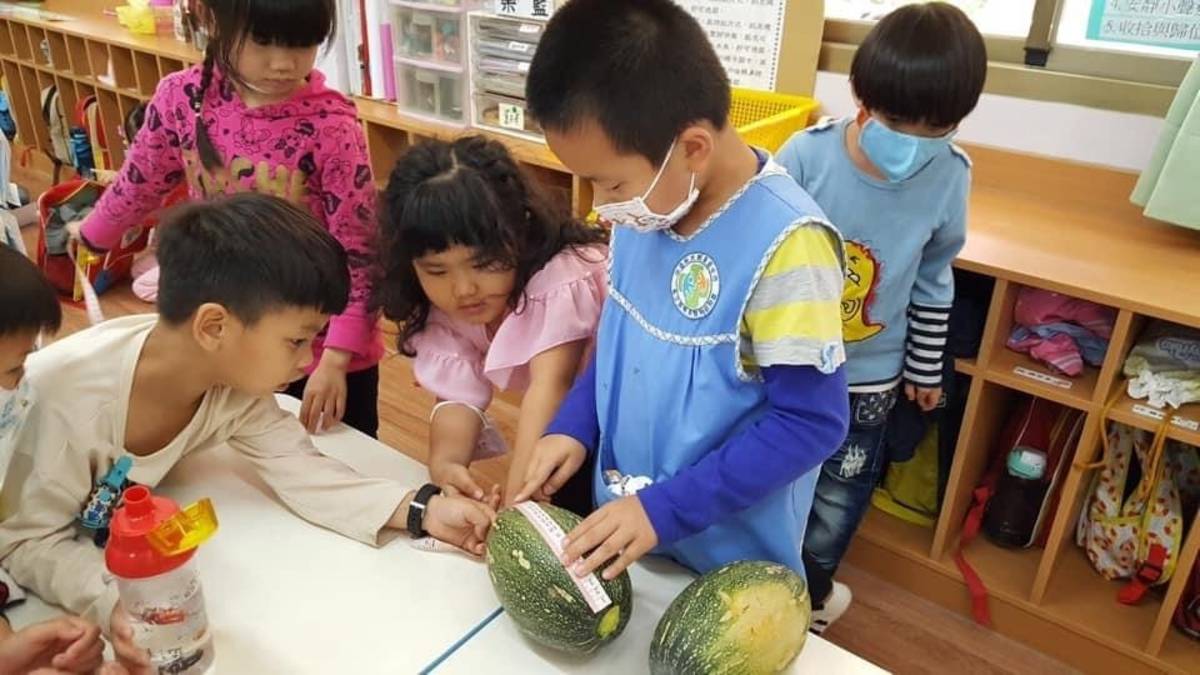 瓜類是幼兒園開心農場種出來的