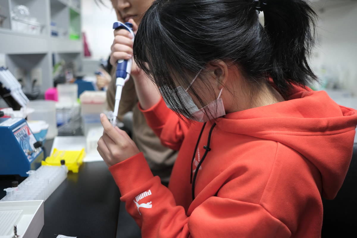 中山醫學大學iGEM團隊成員工作情形