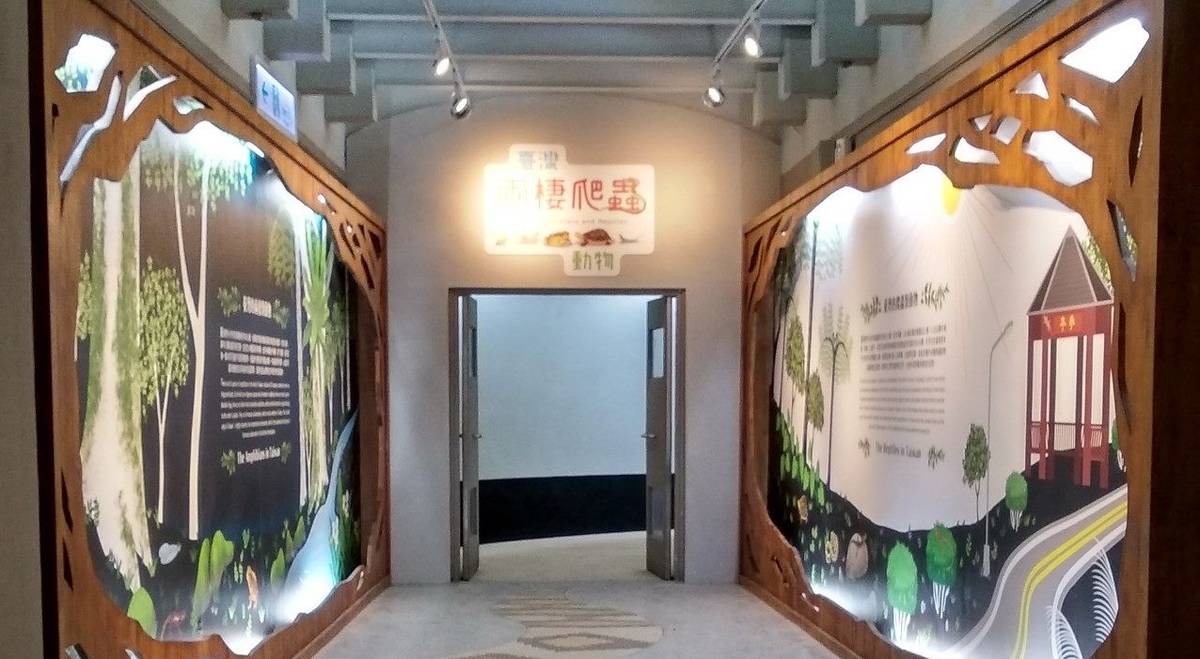 臺北市立動物園端午連假推出「臺灣兩棲爬蟲動物特展」