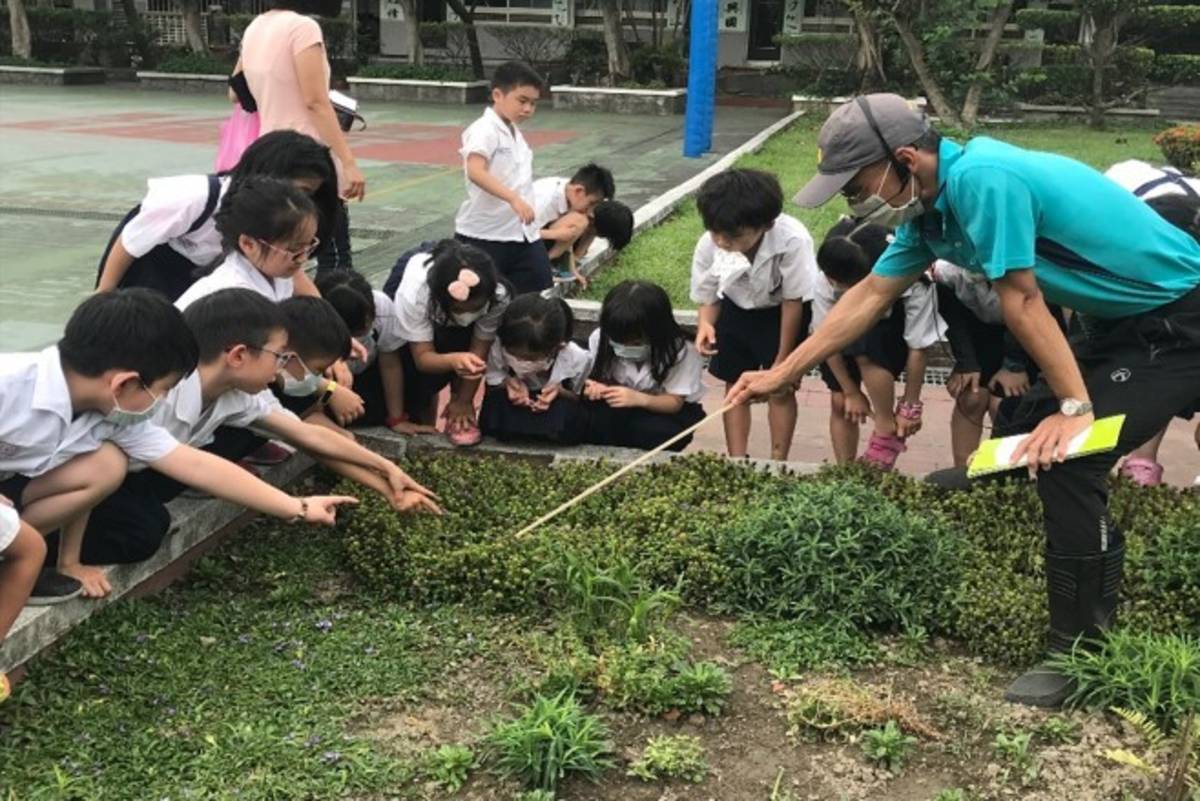 莒光國小學生在戶外觀察矮小原生植物