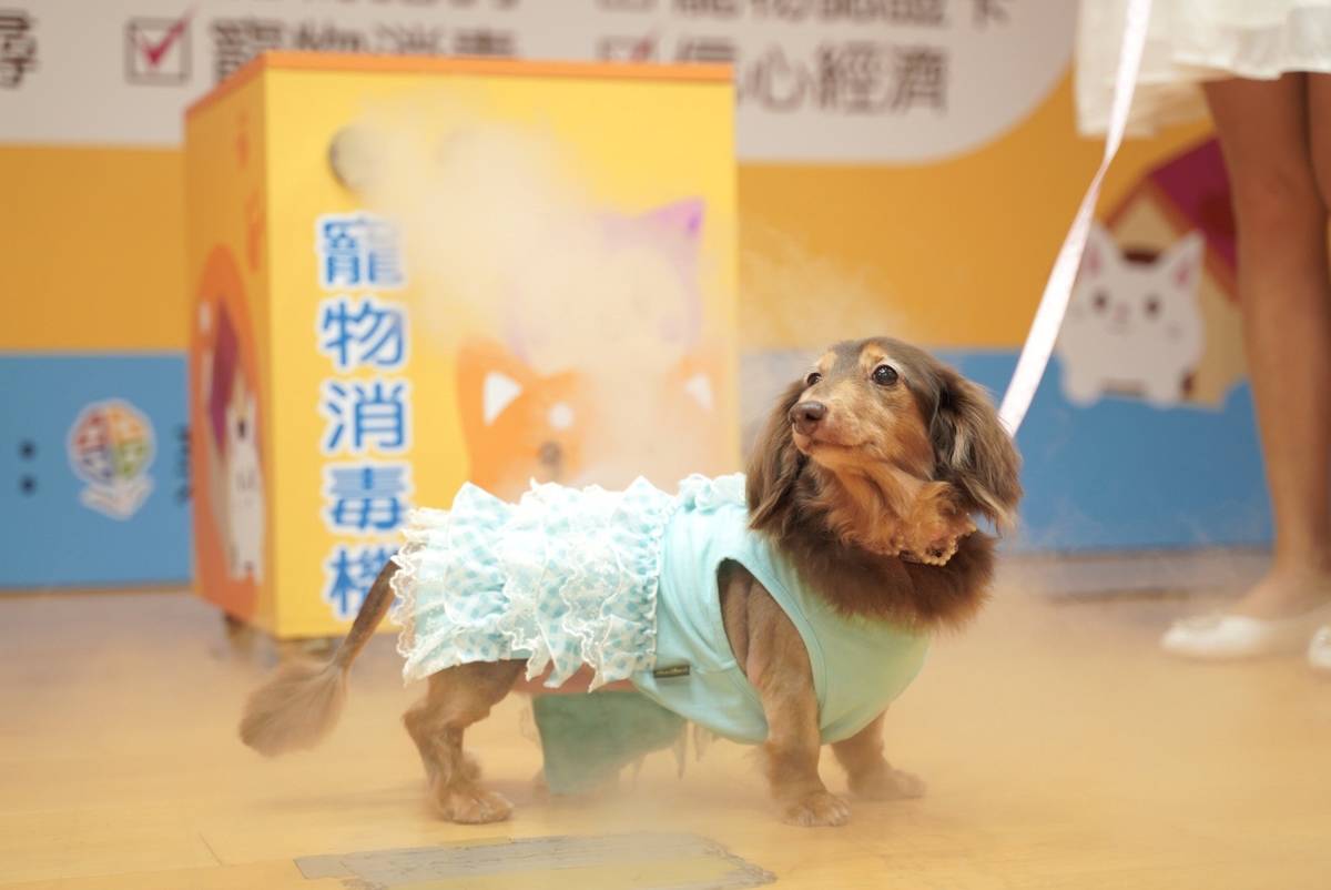 每個店家門口都會設置超音波造霧消毒機，提供社區民眾寵物免費消毒服務。