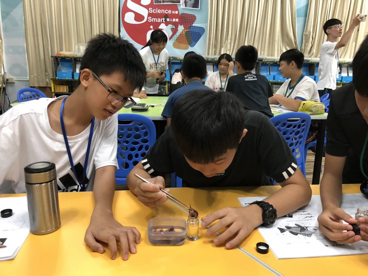 國中學員製作魚標本