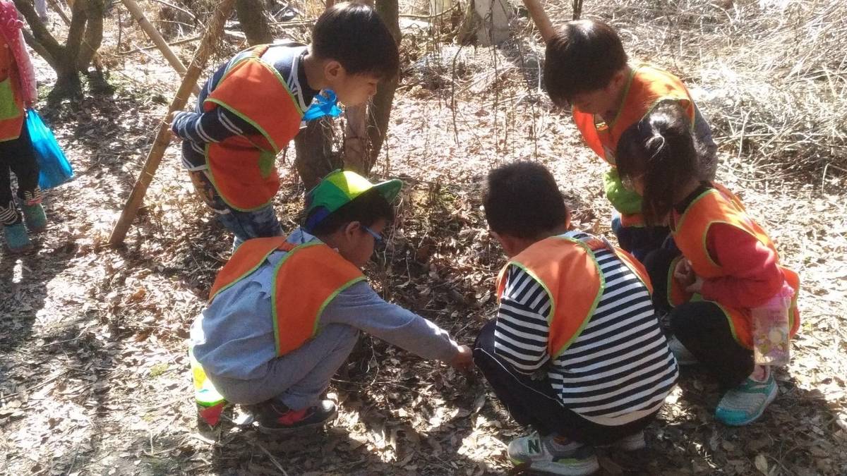 育民非營利幼兒園 生態觀察.jpg