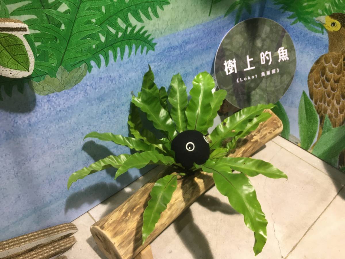 2020森林市集內部展示區展出阿美族作家桂春‧米雅創作的繪本故事書《樹上的魚》，書中描繪了台灣豐富多樣的山海生態。