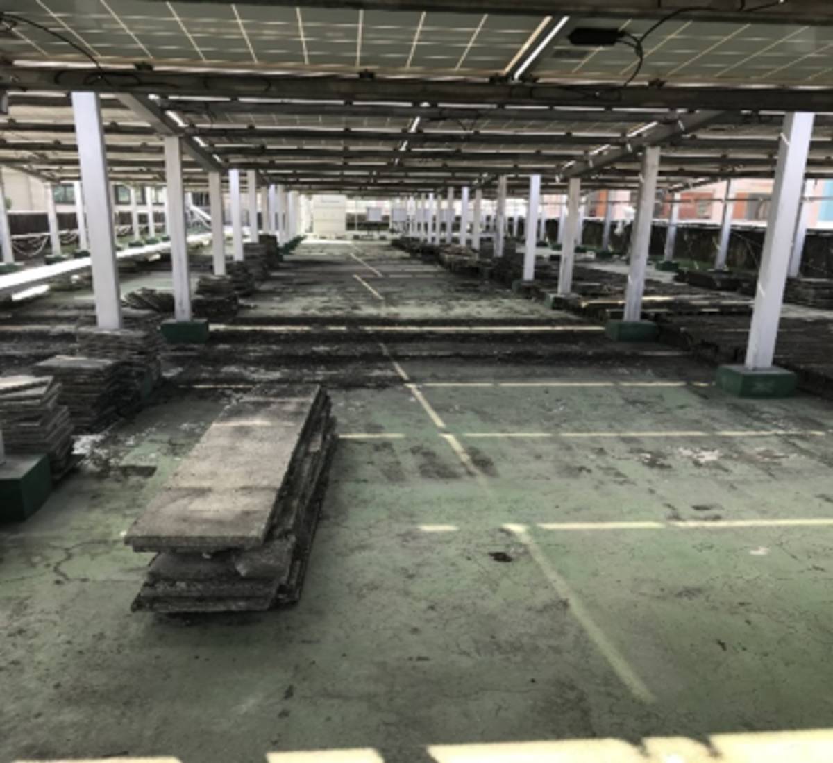 臺中市五權國中至真樓屋頂舊況，無隔熱磚且防水層已老化不堪使用。