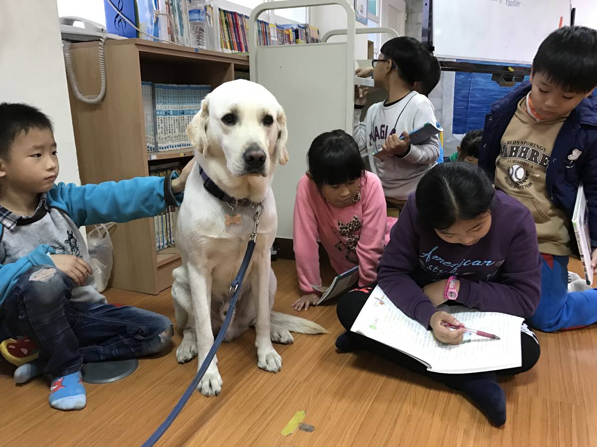 文德國小結合導盲犬協會推行陪伴犬計畫