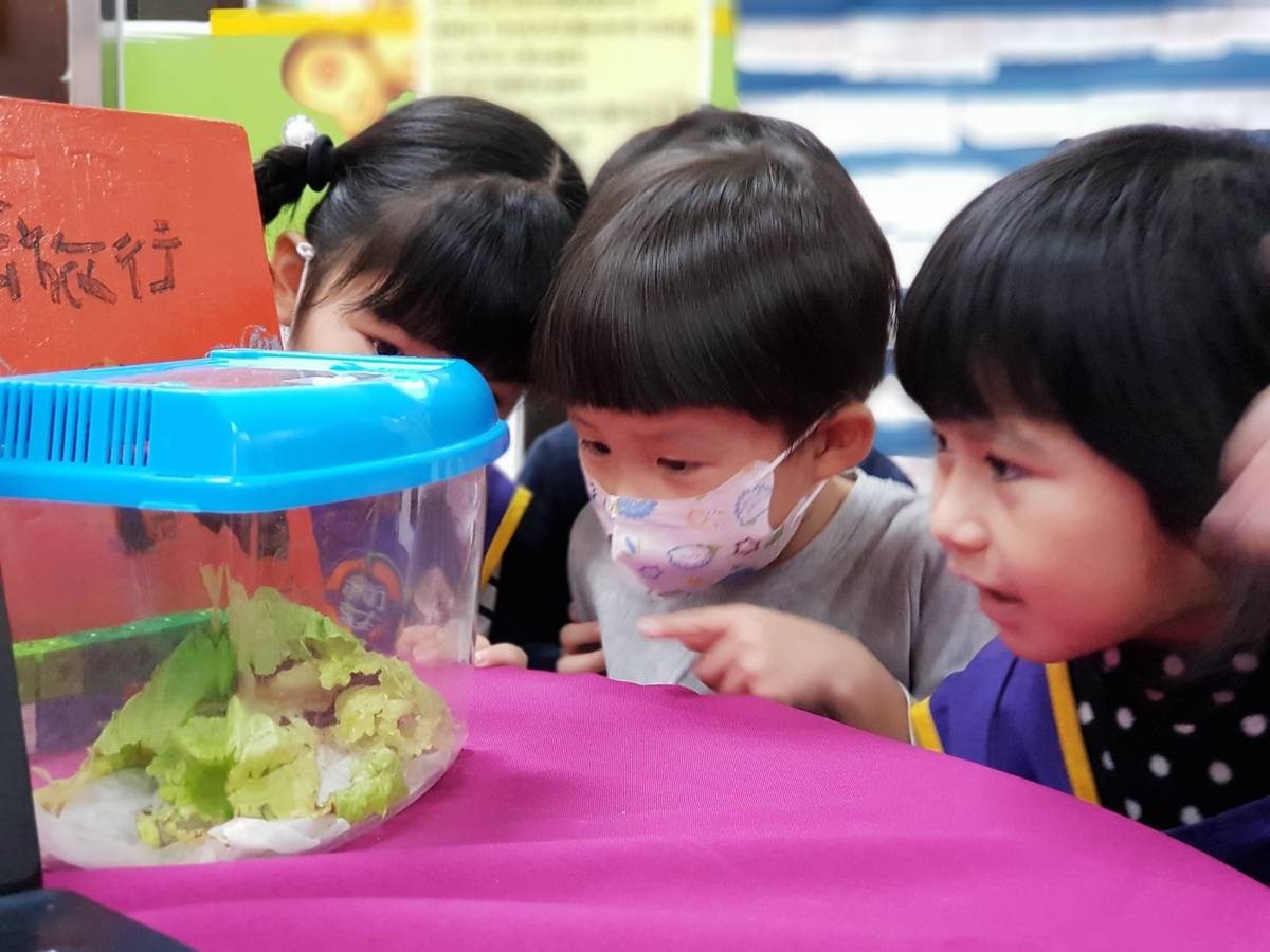 幼兒園孩子從生活中學習體驗。