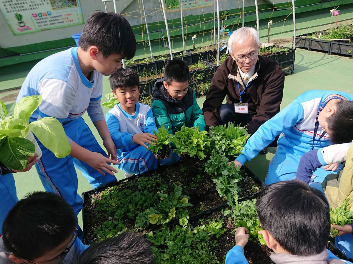 光復國小以日光農場發展食農四季在地生命課程。