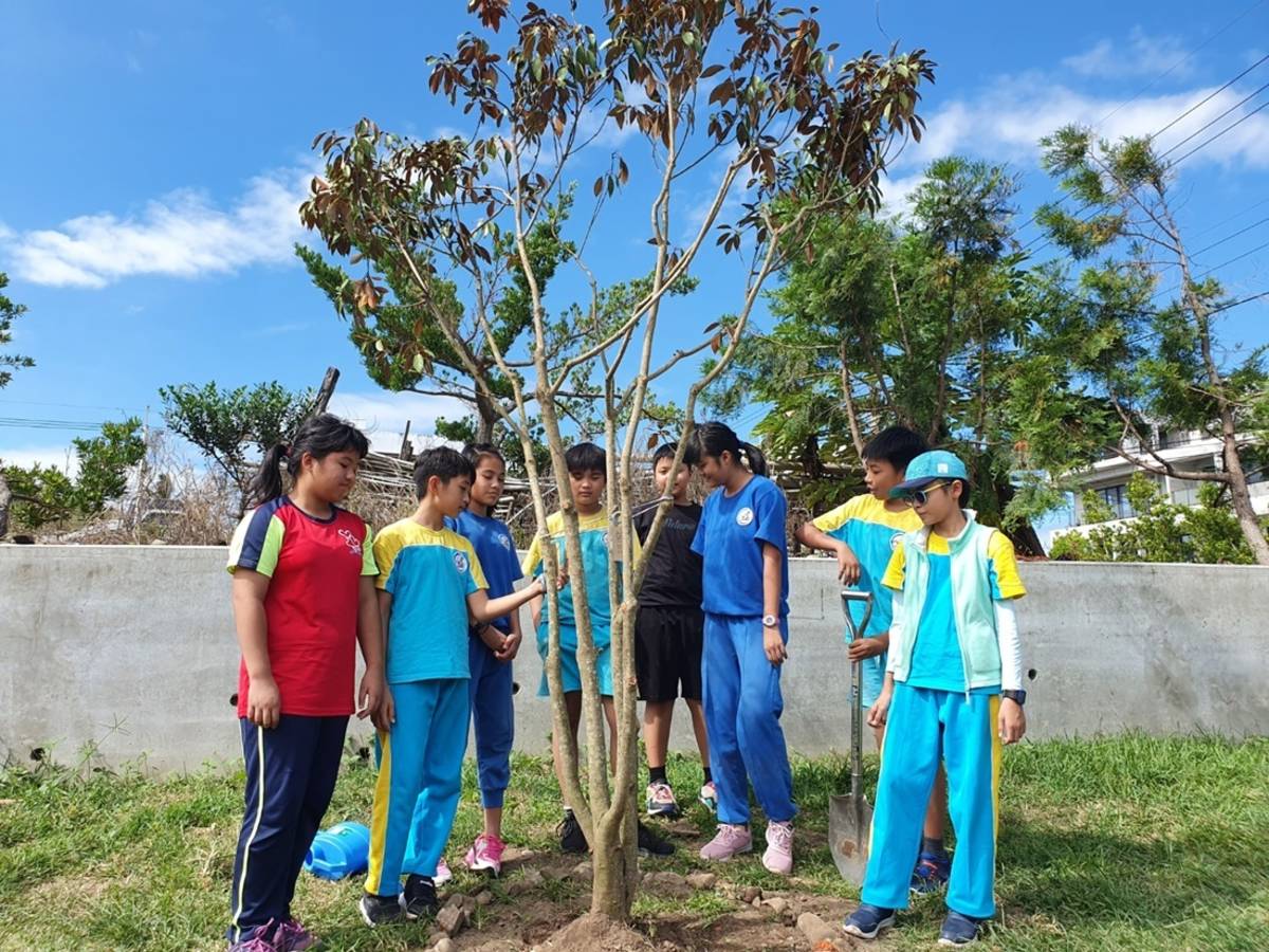 臺東富山國際教育實驗小學與綠色冀泉合作，推動「以樹養球」計畫，又於雙11購物節當天在校園內種下大佛光樹，響應減碳。
