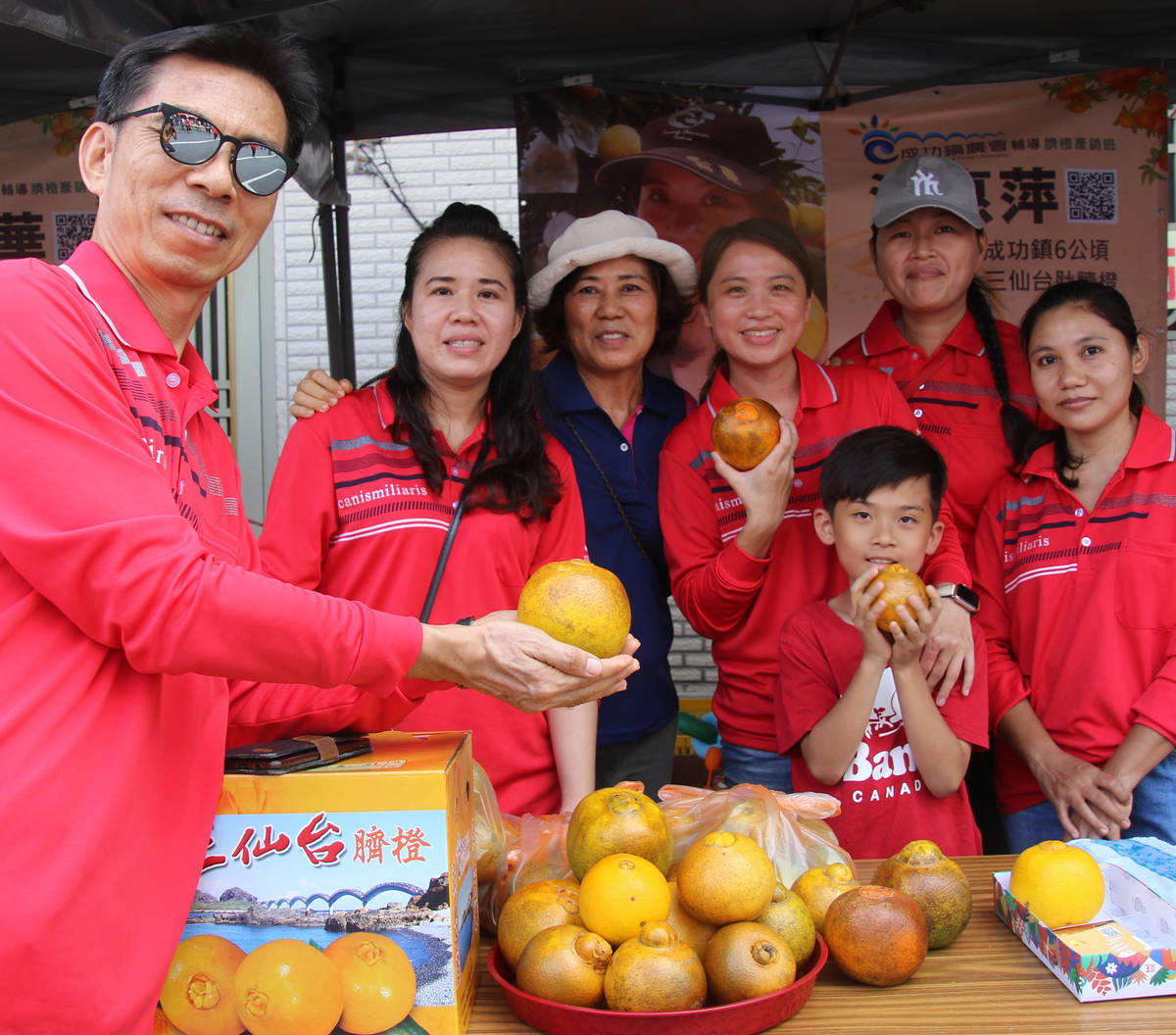 三仙臺臍橙因石灰質土壤、日月溫差大，所生產的臍橙品質為全國之冠。
