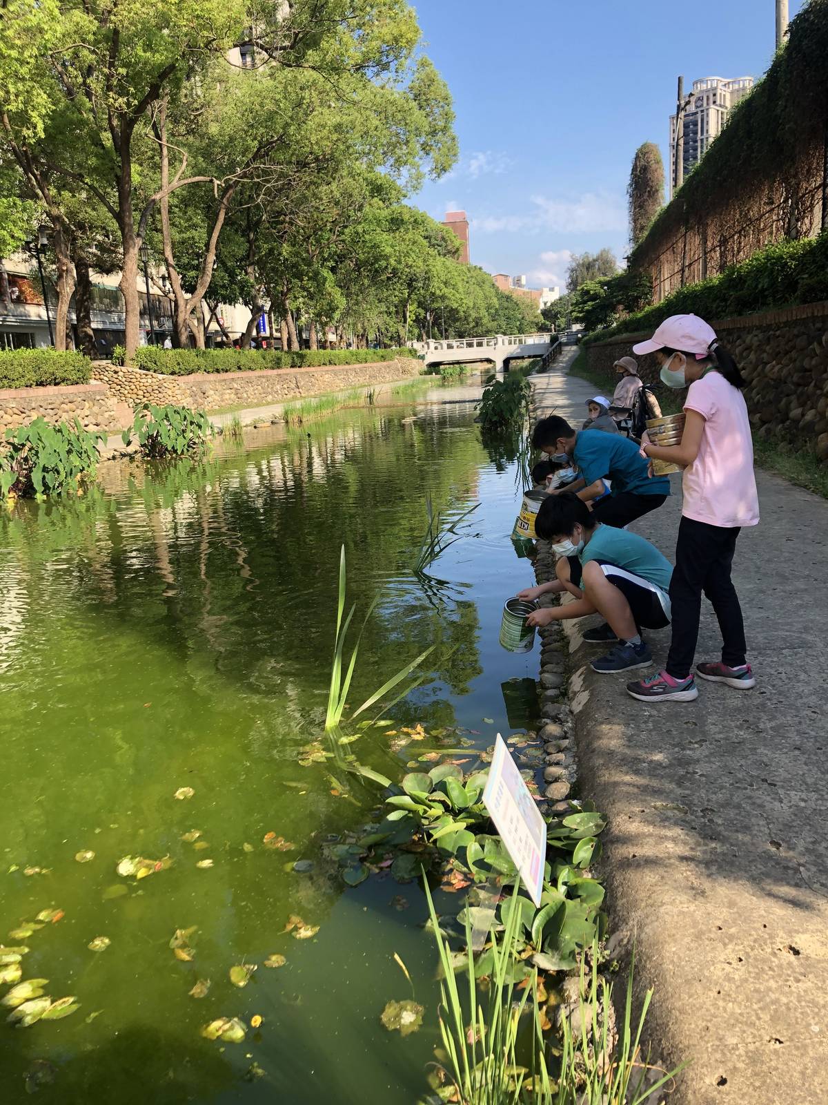 拿著自製的窺箱，探索住在城市溪流裡的小生命
