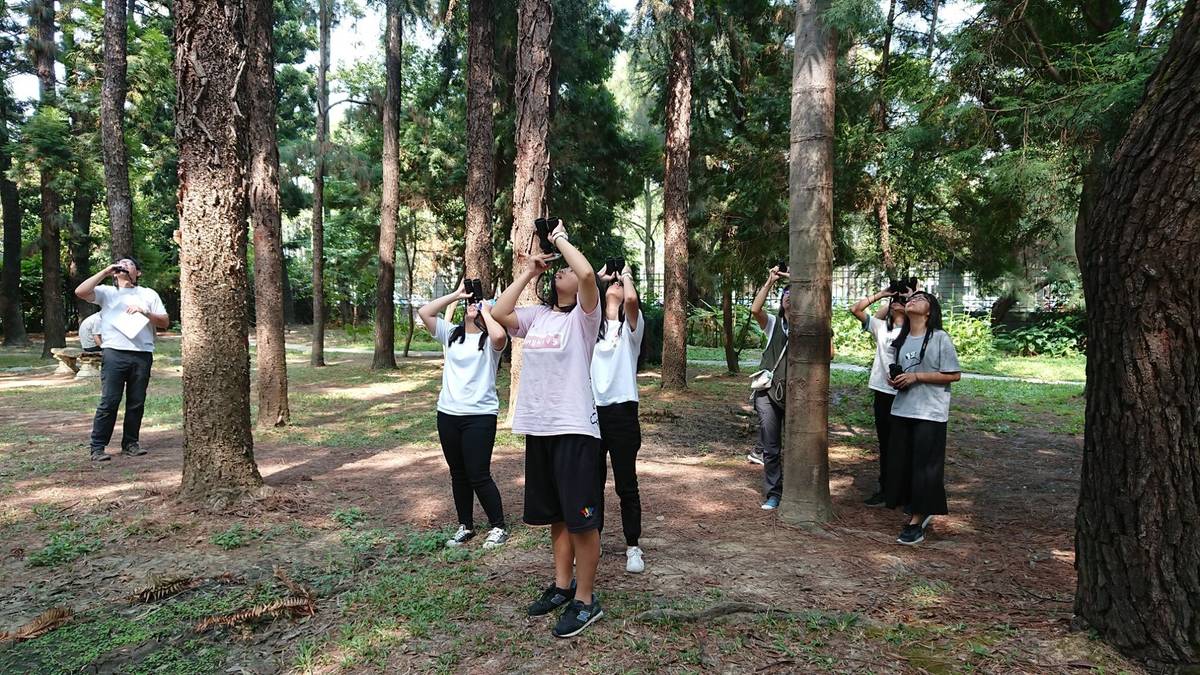 原來都市裡這麼多鳥，還有猛禽在這裡成家育幼