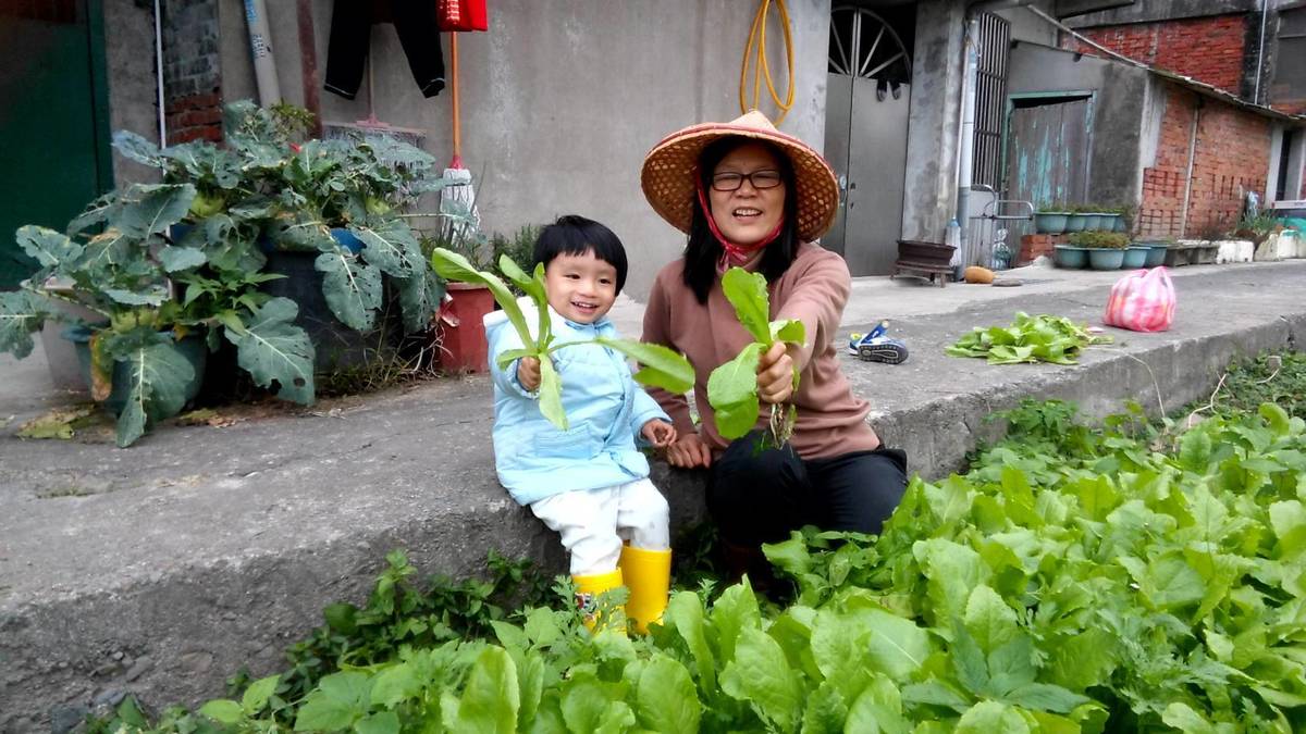 陳金婷老師與孫子同享種菜趣。