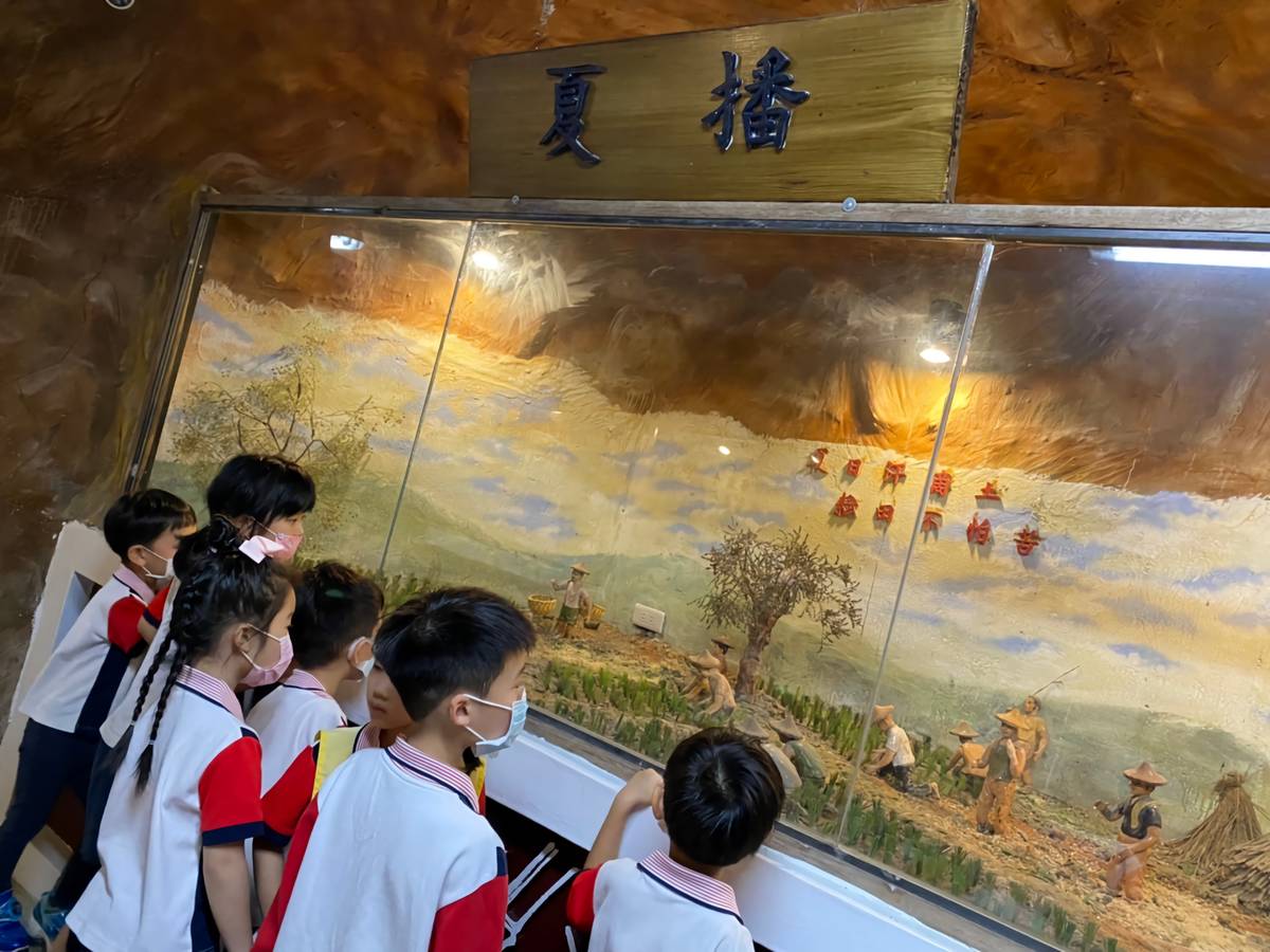 帶幼兒認識夏播。