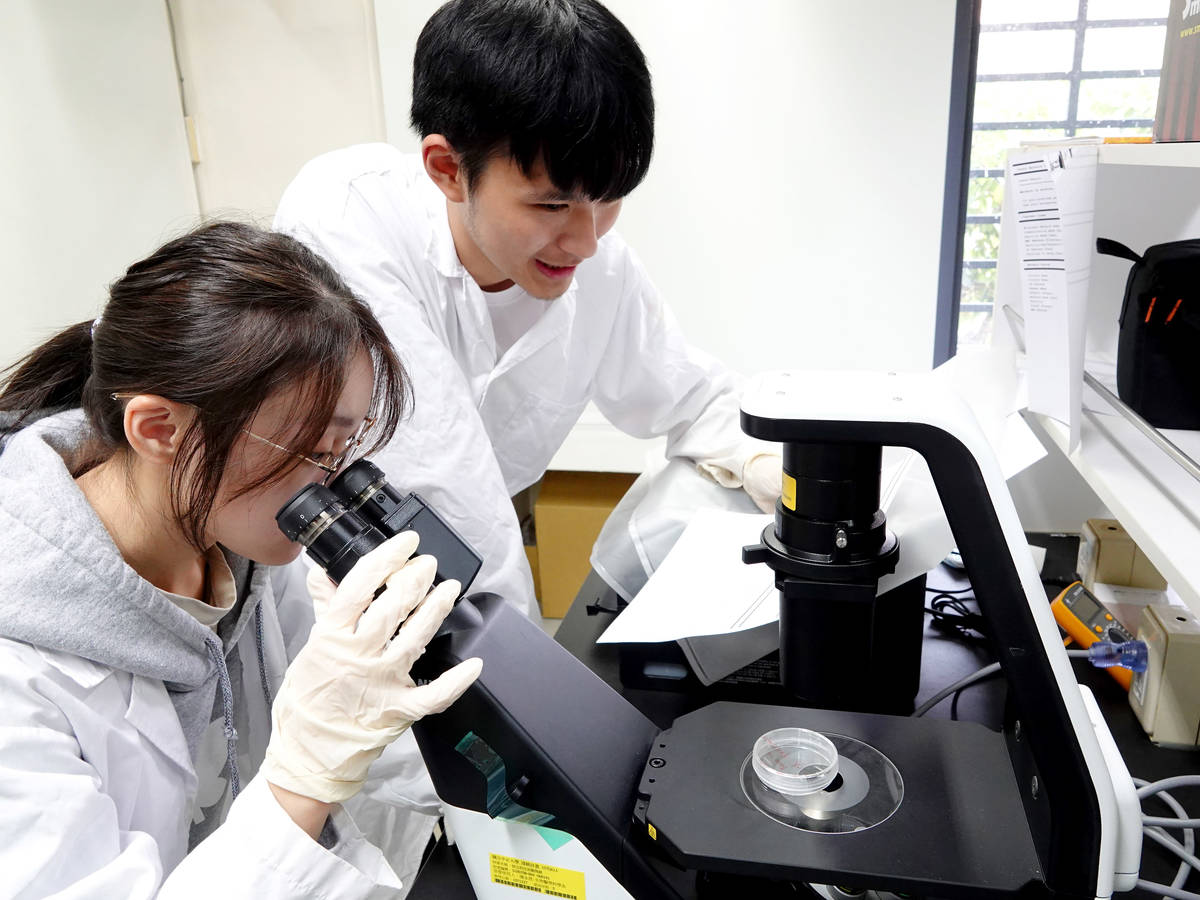 研發登革熱病毒檢測試劑 中正學生團隊獲IGEM獎項肯定