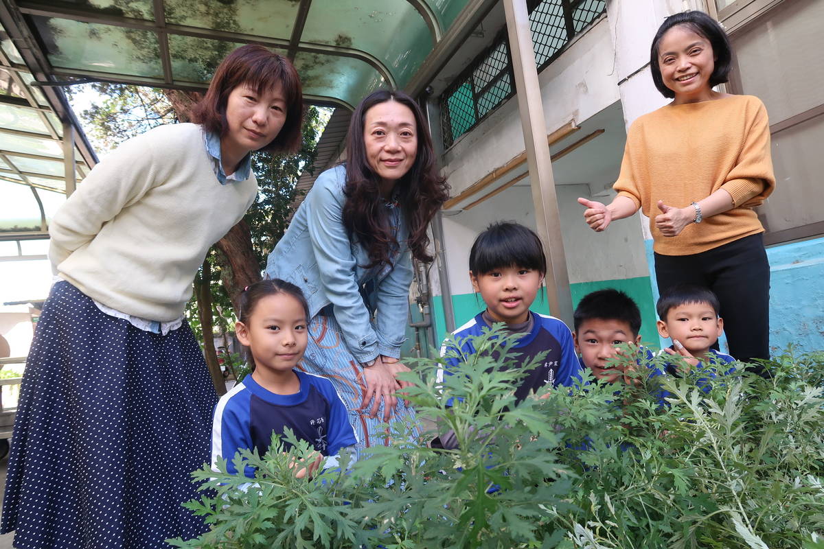 苗栗南湖國小校園內種有常見的客家藥用植物