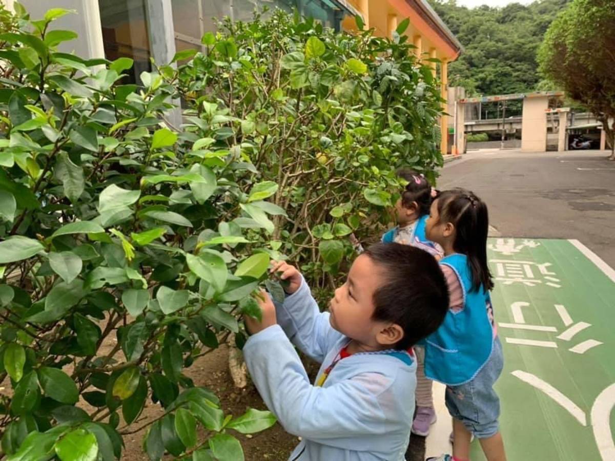 結合校園環境進行美感體驗。