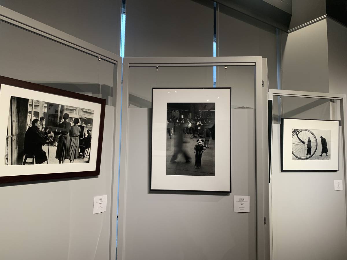 輔大與史博館首度館校合作 《看覓》臺北老照片策展。