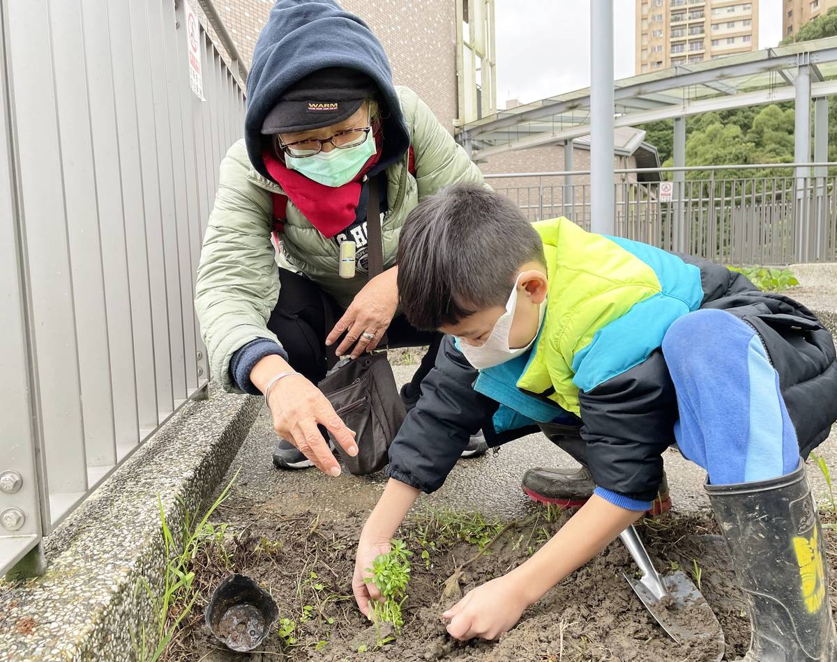 學生在老師指導下小心翼翼的將珍稀原生植物種下