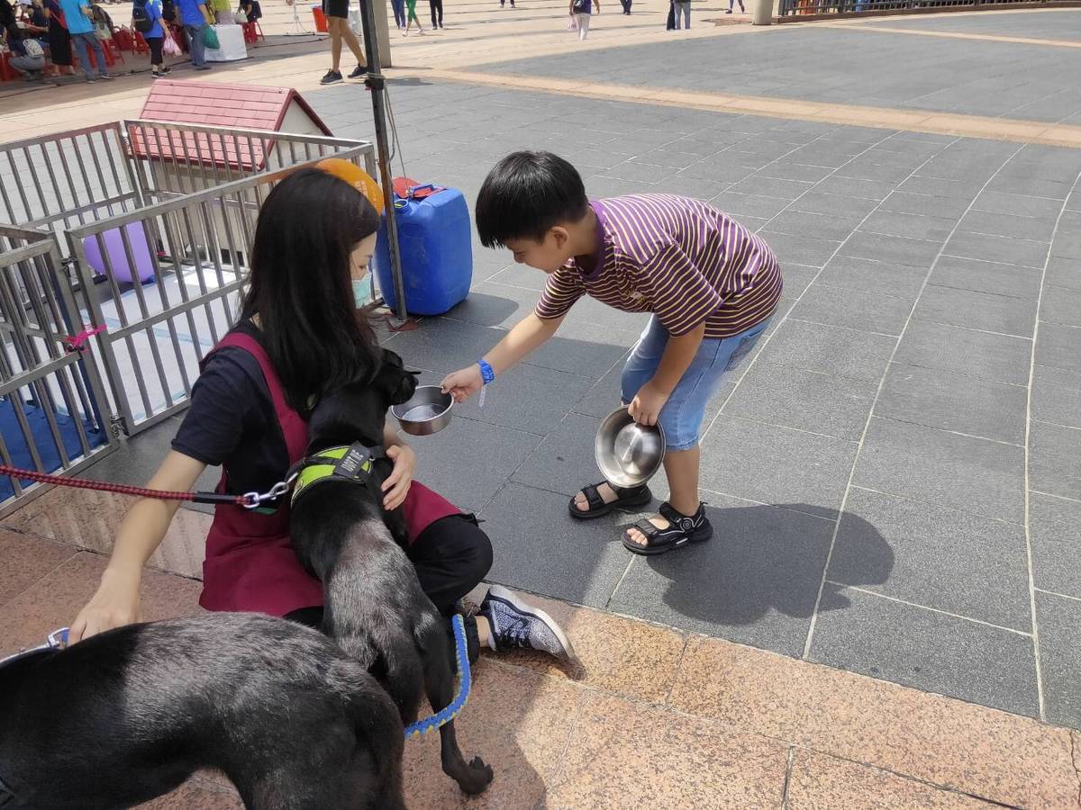 動物之家志工帶小朋友與毛寶貝互動