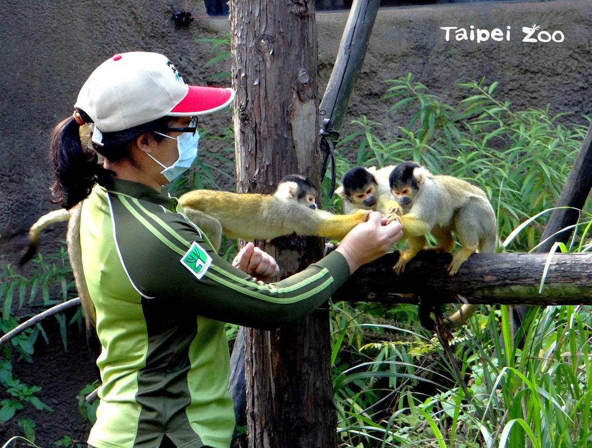 透過餵養過程可仔細觀察動物習性