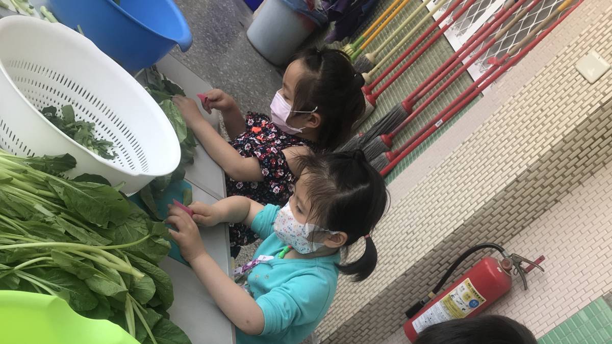 社皮非營利幼兒園 食物課程.jpg