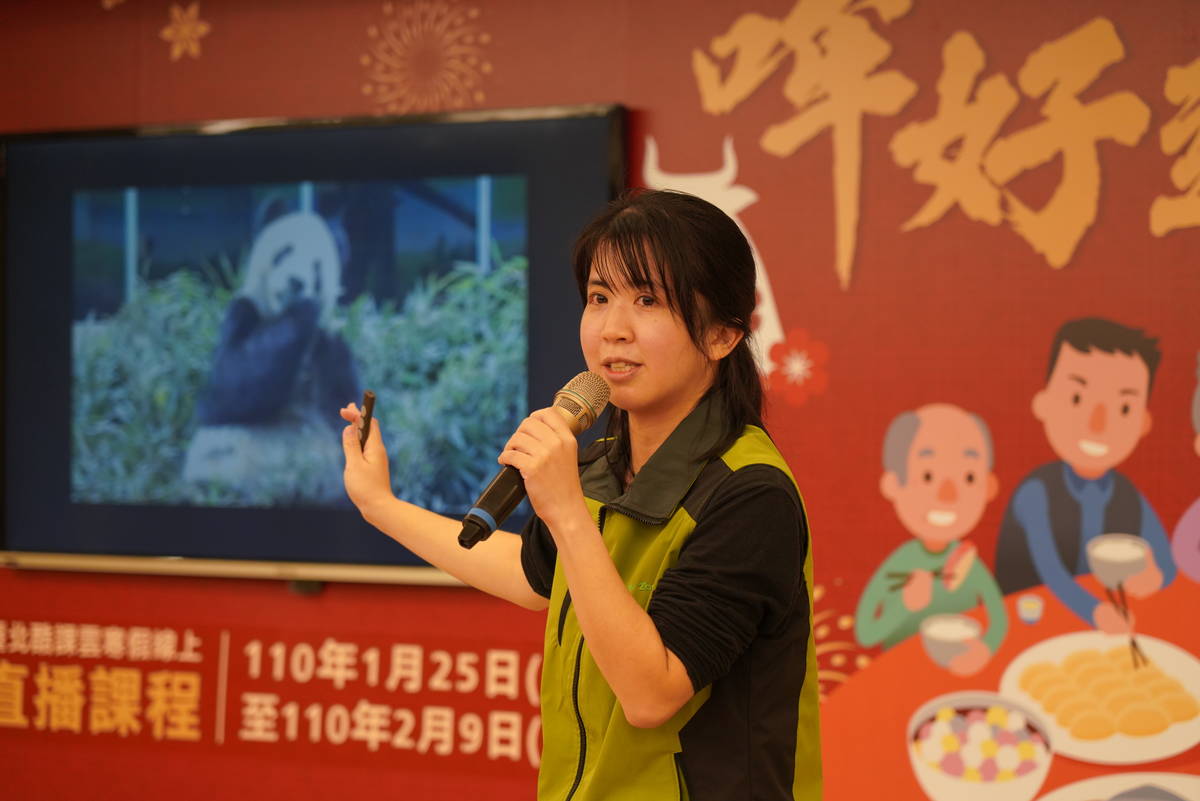 圓寶見面會將在1月28日下午2點於酷課雲平台進行直播