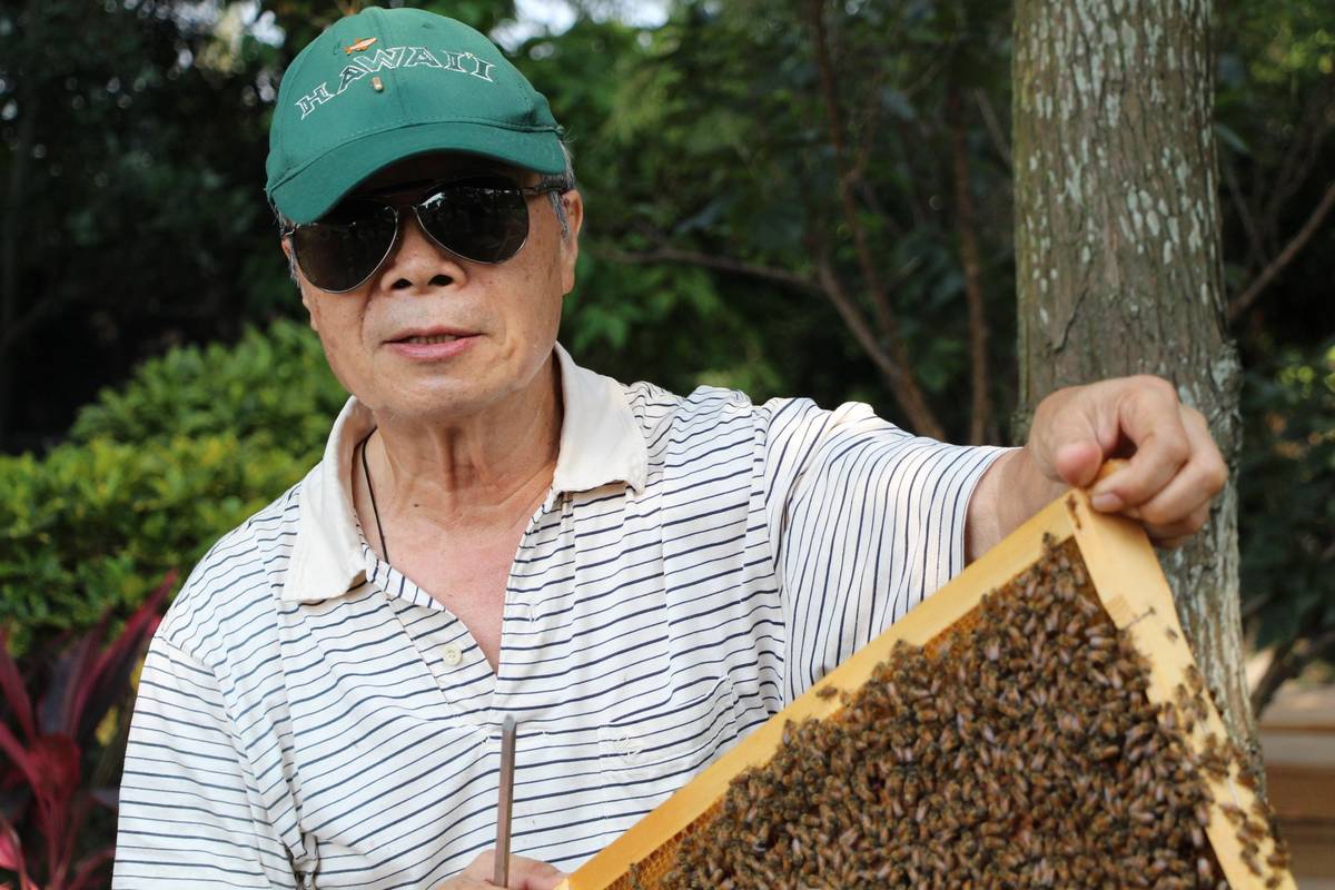 陳世雄細心照顧蜜蜂甚至要幫蜂箱蓋棉被過冬