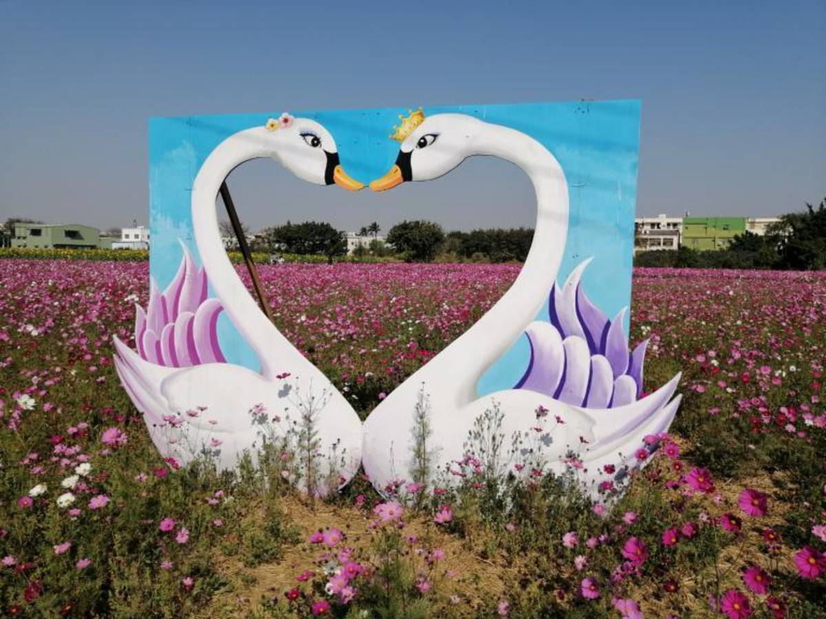2021「彰化300花漾ing」賞花樂