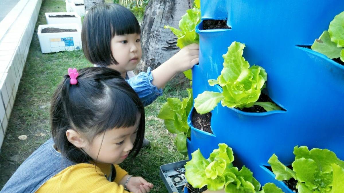 右昌非營利幼兒園.jpg