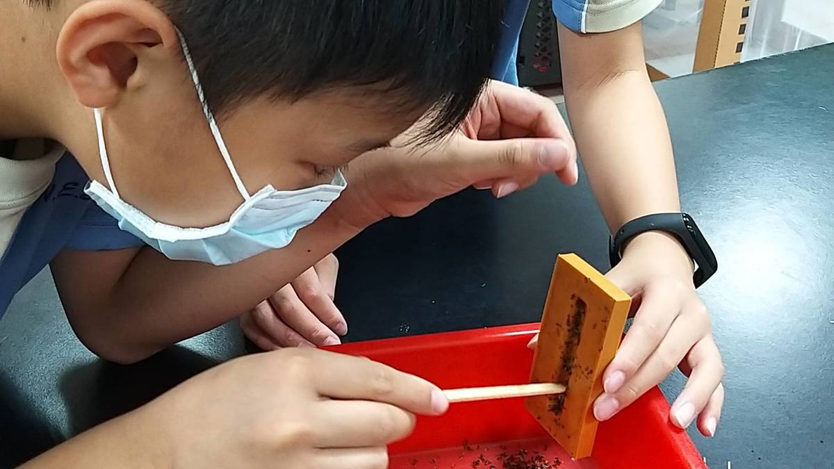 實驗過程中學生們也學會細心對待小生物、尊重生命