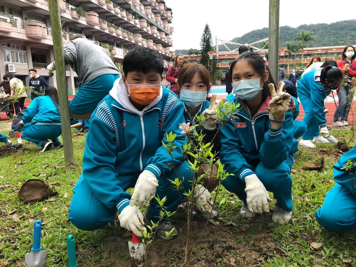 石碇高中學生體驗種植烏來杜鵑實生苗。