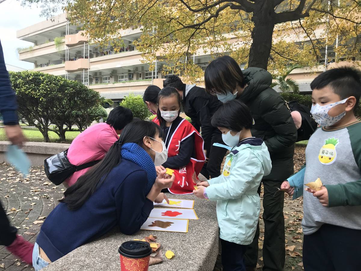 小朋友從校園植物中認識顏色