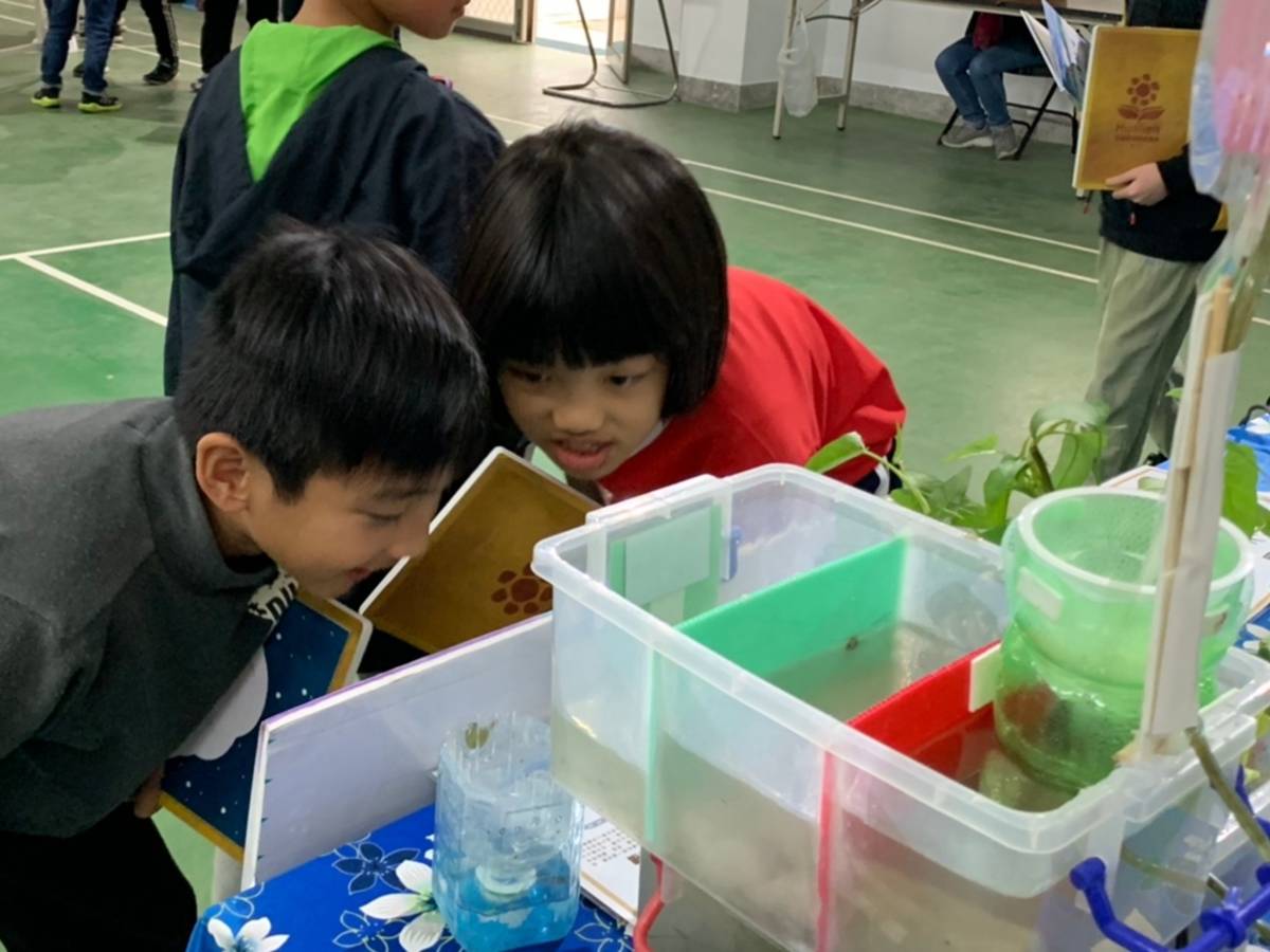 學童觀察魚菜共生暨水循環系統