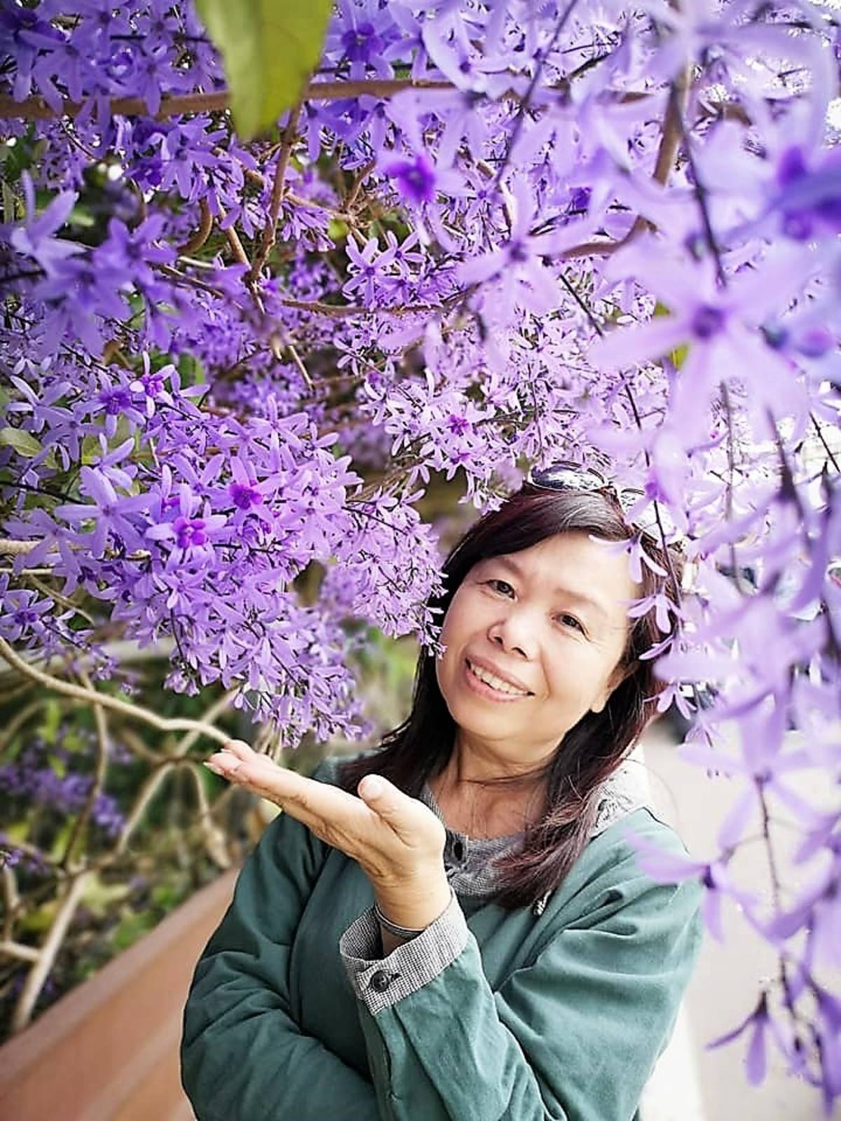 謝淑芬愛賞花看到整片錫葉藤非常驚豔(圖片來源：謝淑芬臉書)