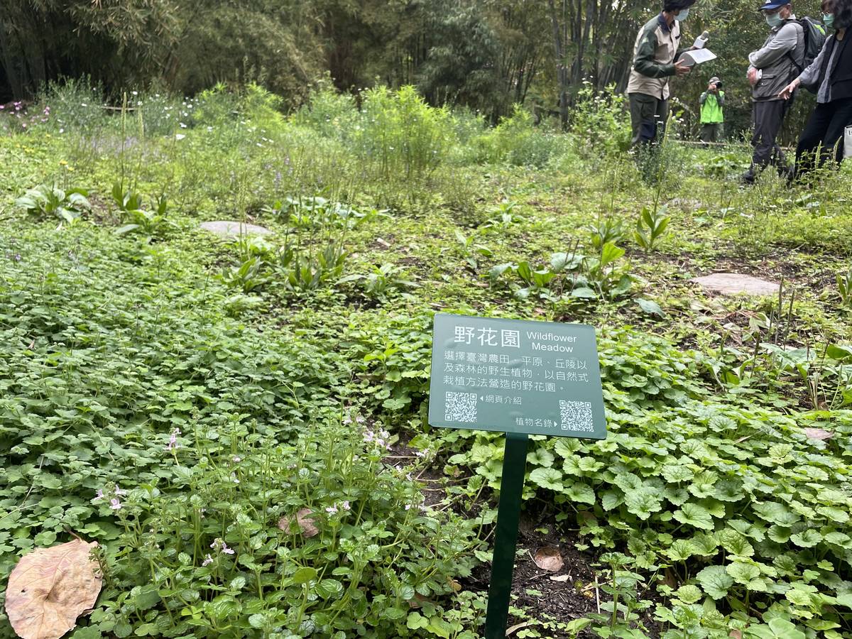 林試所台北植物園打造三處野草花園，花園內有將近70種超過5000株台灣原生草本植物。