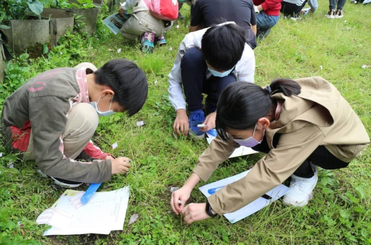 臺北市湖田實小同學在校內清查臺灣水韭