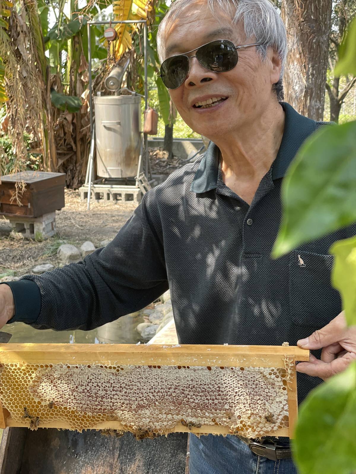 談起小蜜蜂，陳世雄有說不完的故事