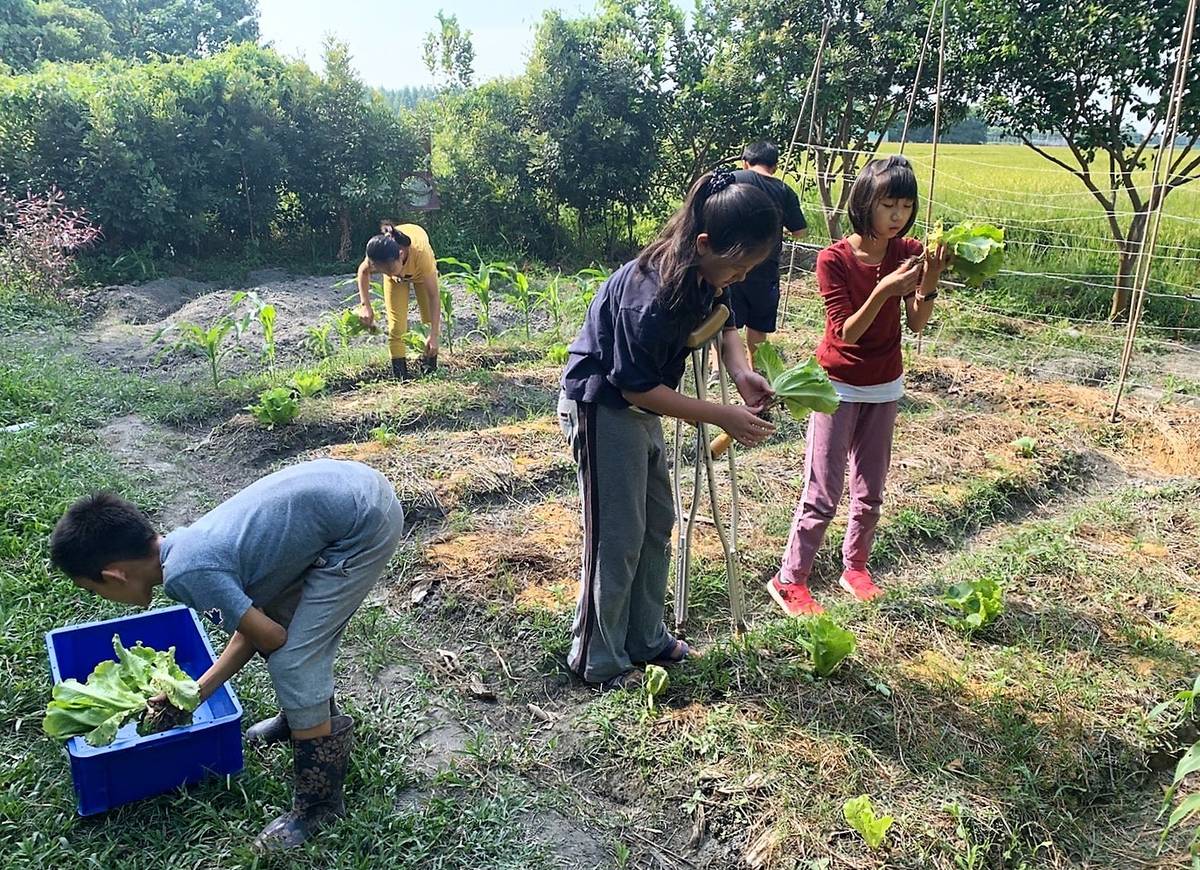 華德福教育很重視讓孩子與大自然親近和勞作(圖片來源：基石華德福學校提供)