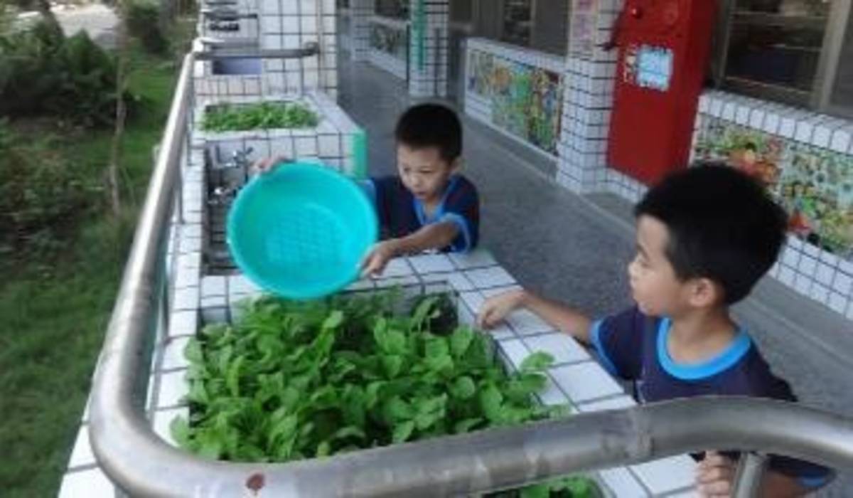 臺南市學甲區宅港國民小學綠化校園