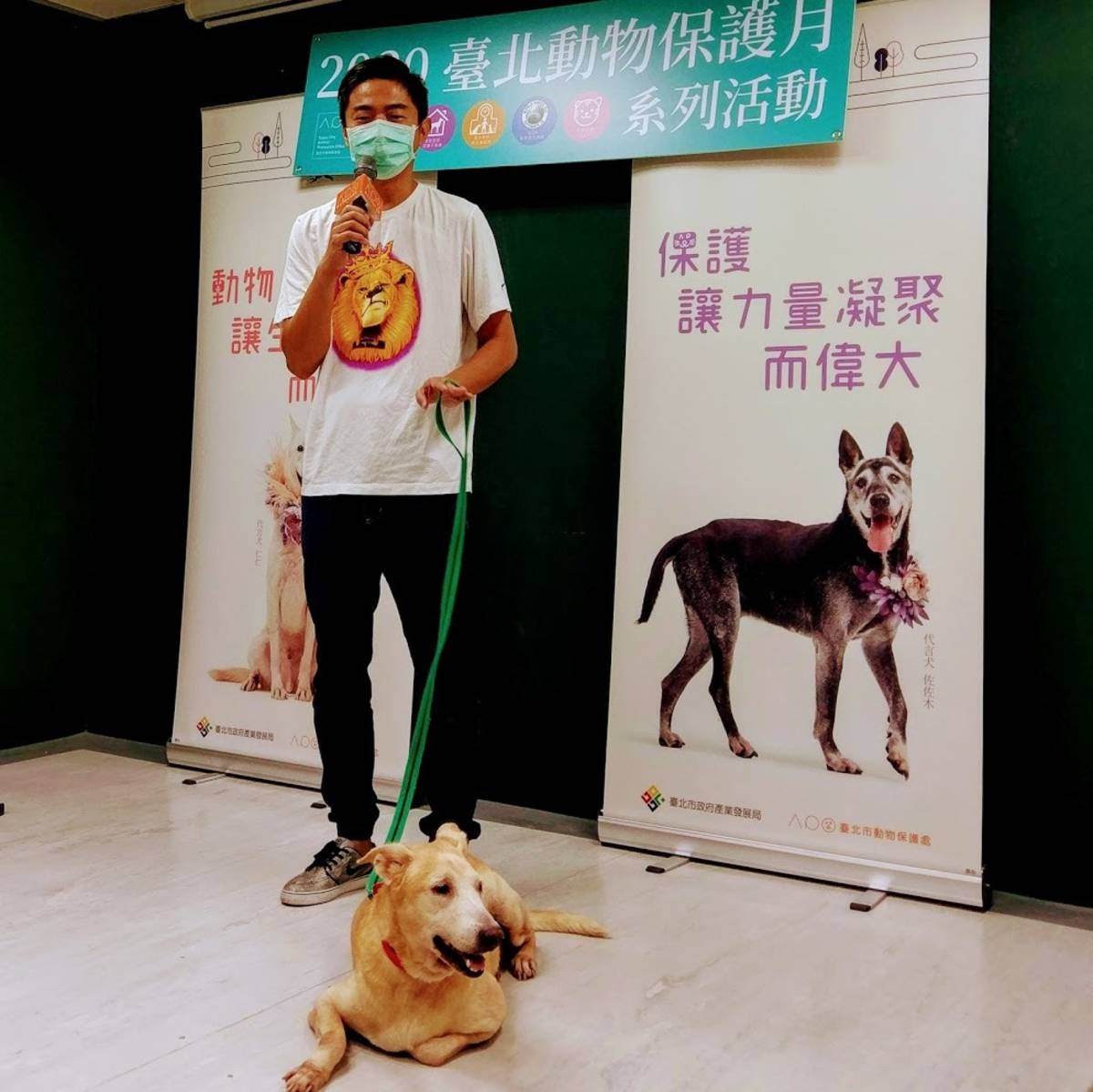 犬類行為專家熊爸王昱智建議民眾認養米克斯成犬