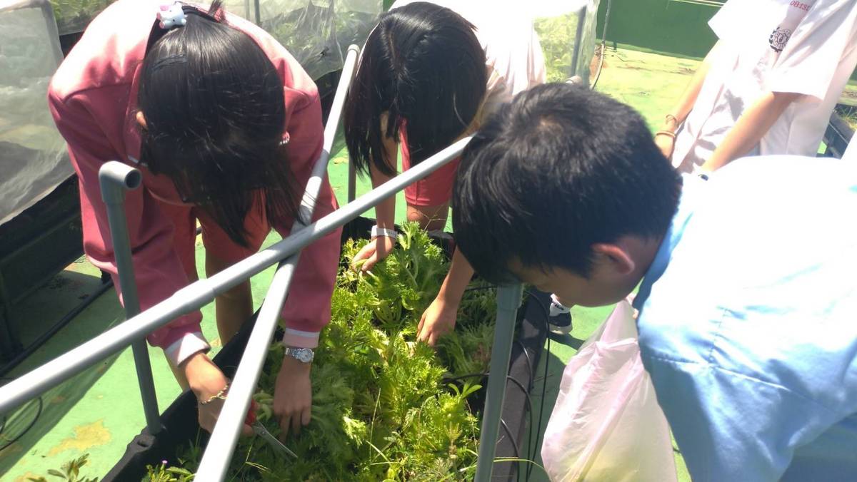 餐食廚餘做成堆肥，可用於小田園的堆肥