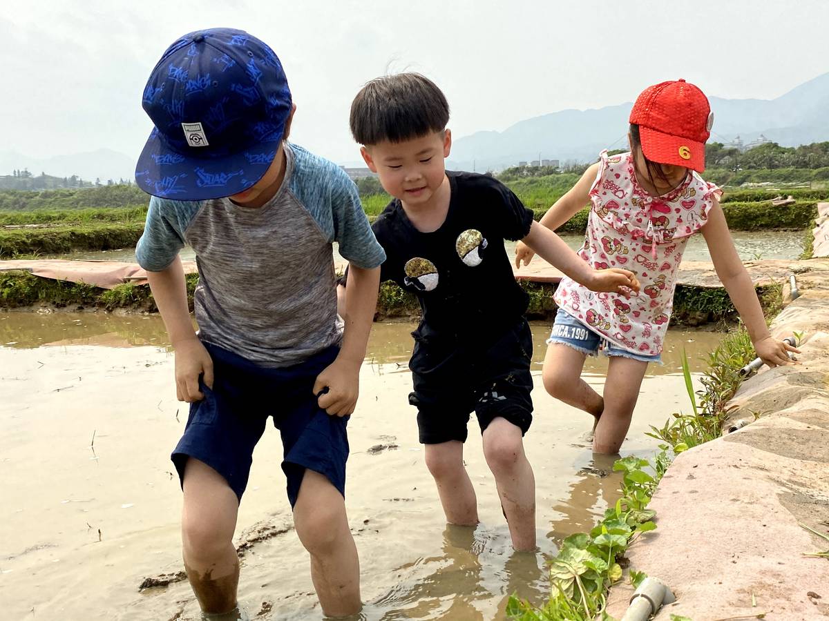 踩田水活動讓孩子增加不一樣的土地體驗。