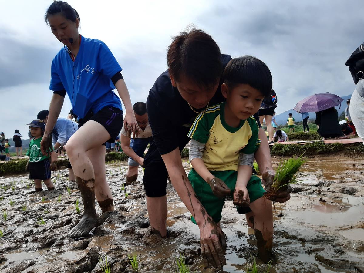 親子插秧每年一同參與著金美地土地盛事，帶著孩子一起感受土地給予我們的收穫。